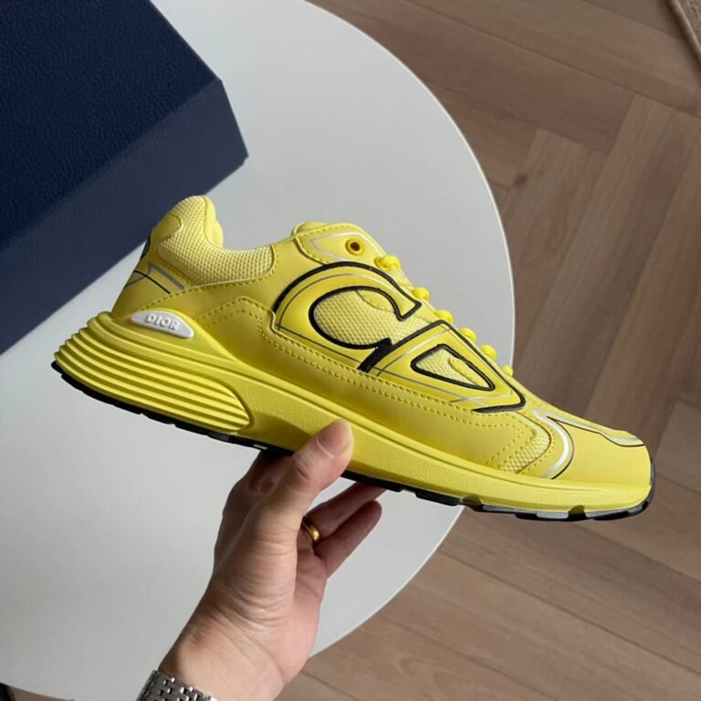 Dior B30 shoes