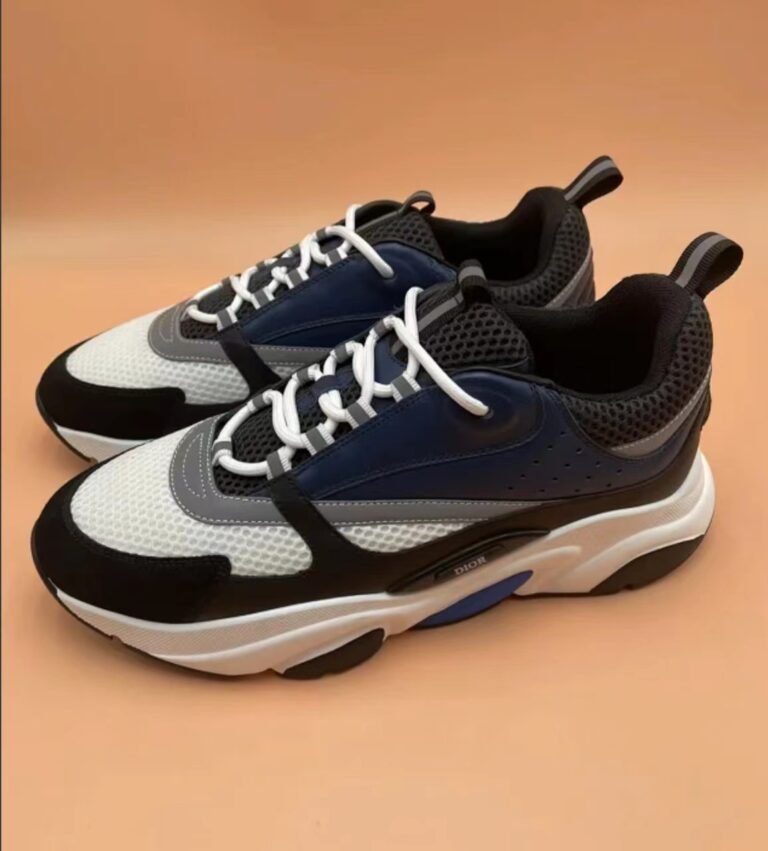 Dior B-22 shoes