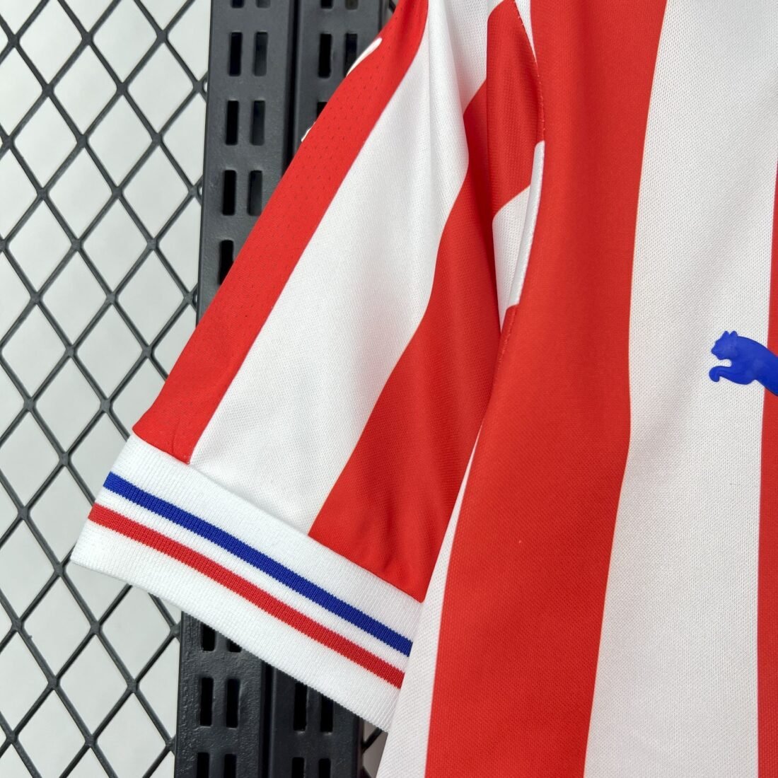(16/17) كلاسيكي Chivas 110Th Anniversary قميص S-XXL 13