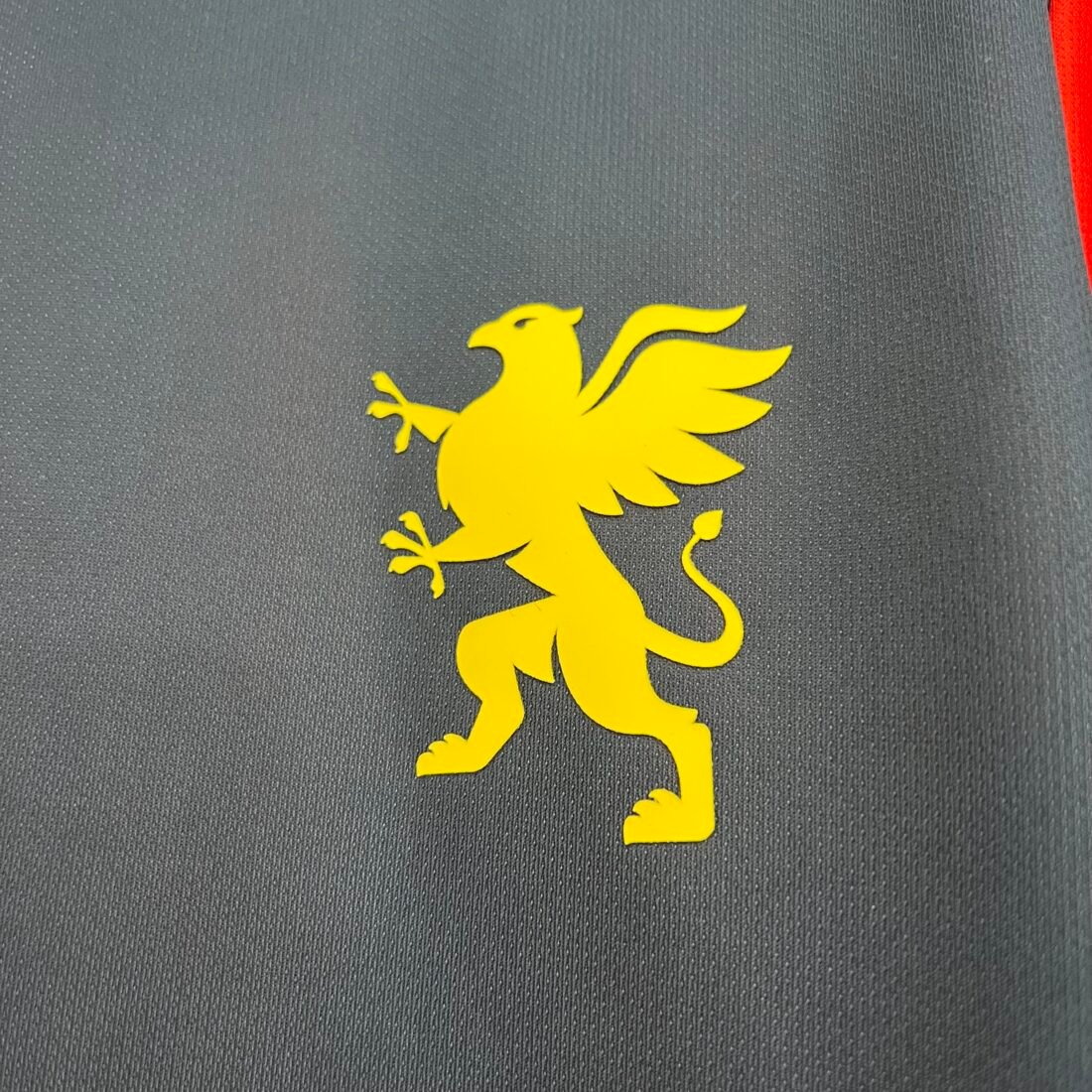 (25/26) Genoa الأساسي S-4XL 13