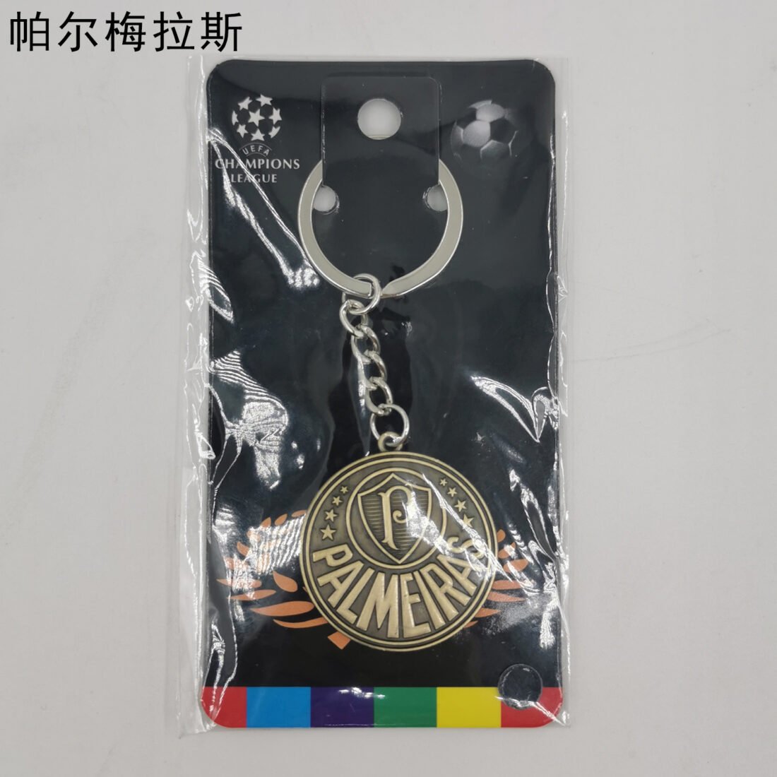 (26/27) Key Chain 66