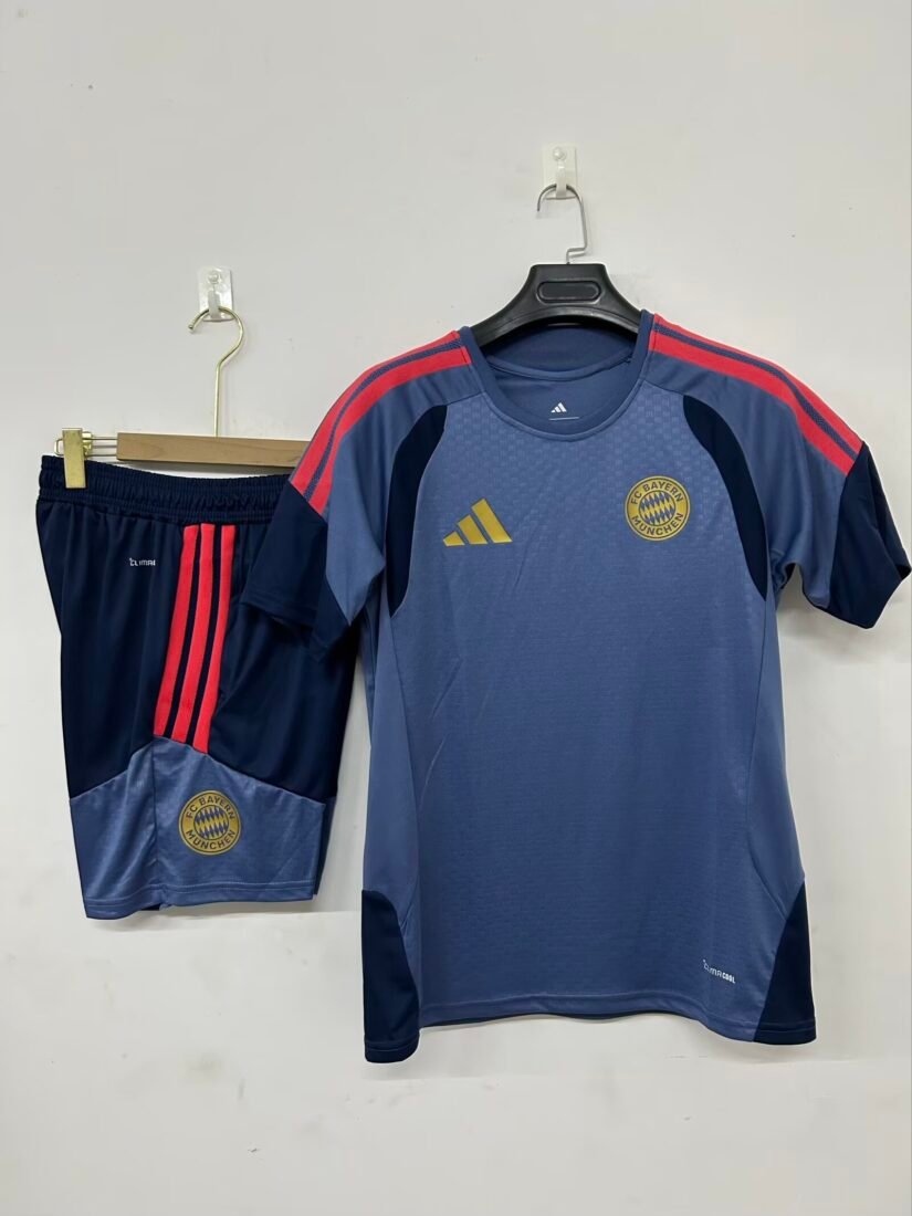 (26/27) Bayern Munich Gray Short Sleeve تدريب قميص S-3XL 2
