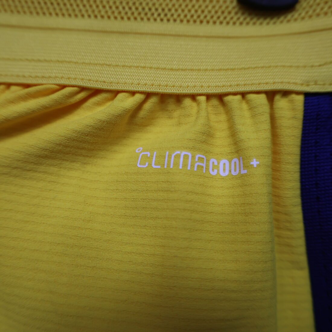 (26/27) Blogger Yellow Shorts S-2XL 6