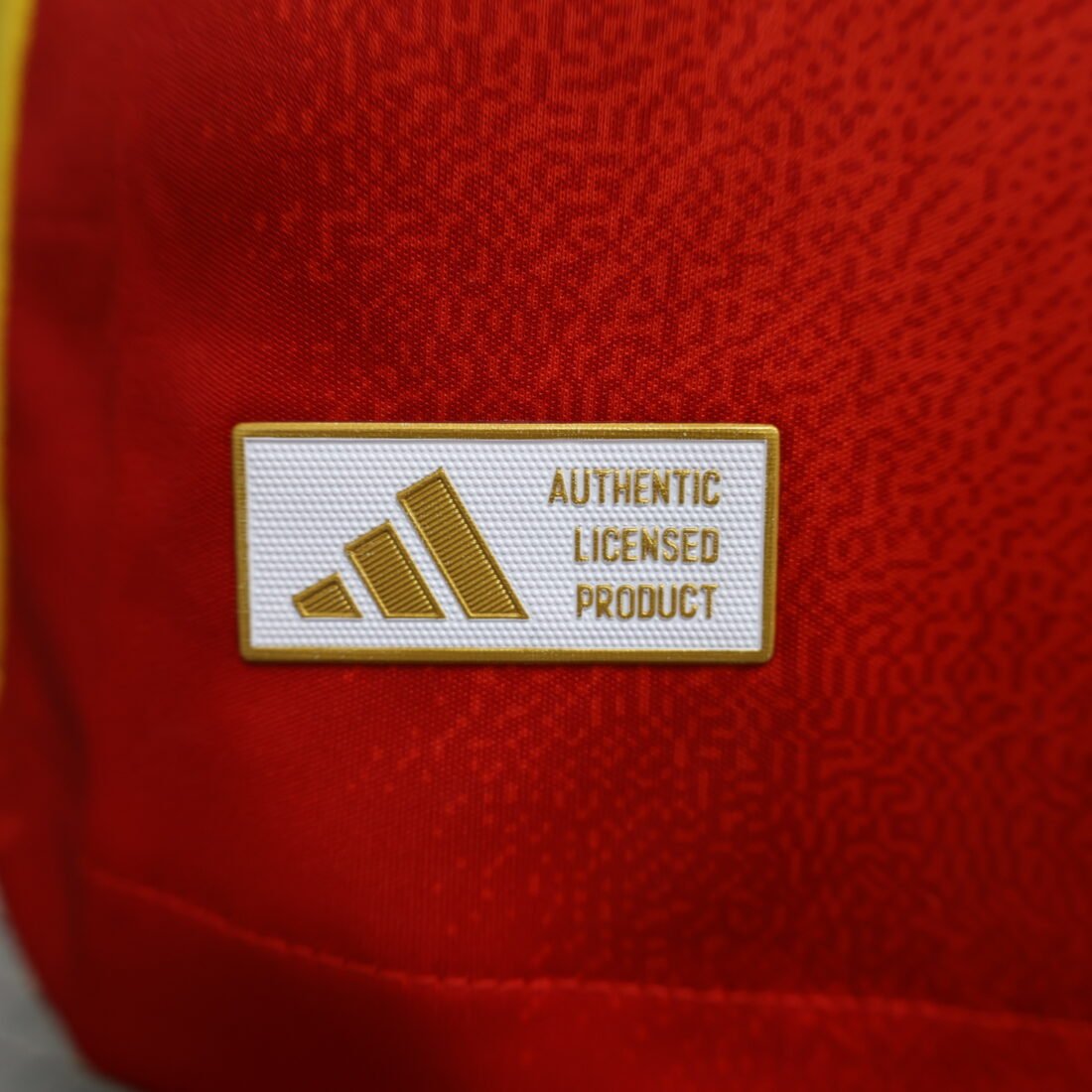(24/25) Spain Player أكمام طويلة National Team قميص S-XXL 13