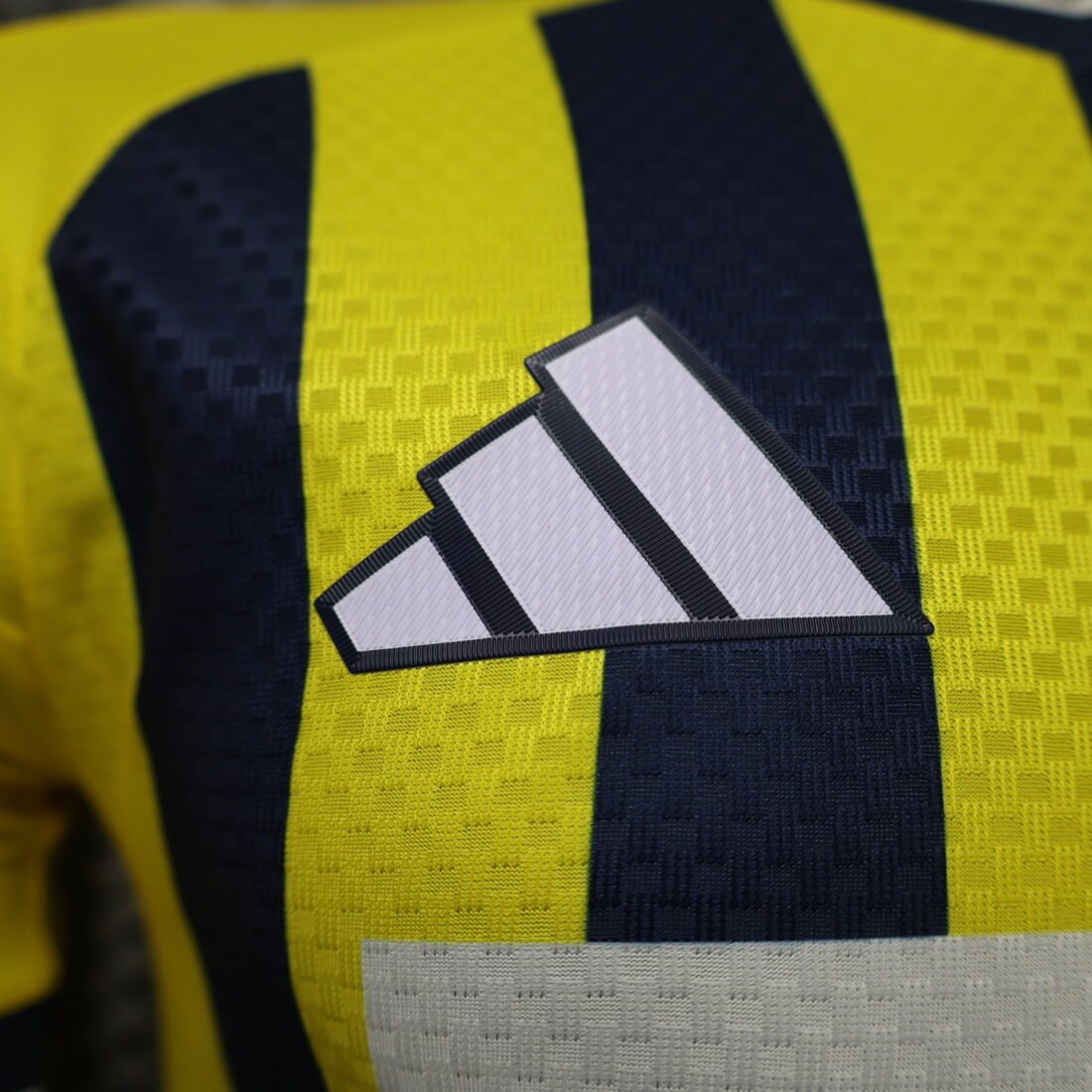 Fenerbahçe الأساسي S-2XL 20