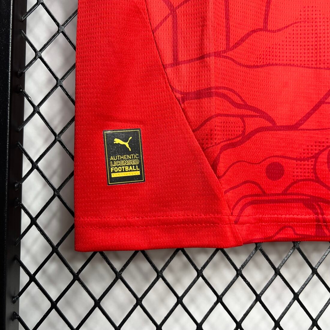 (24/25) Austria Euro الأساسي قميص S-XXL 4