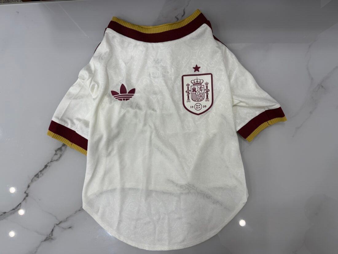 (2026) Spain الاحتياطي Team Pet قميص 4