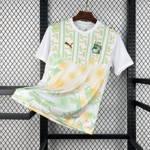 (26/27) Ivory Coast National Team World Cup Jersey Away S-XXL