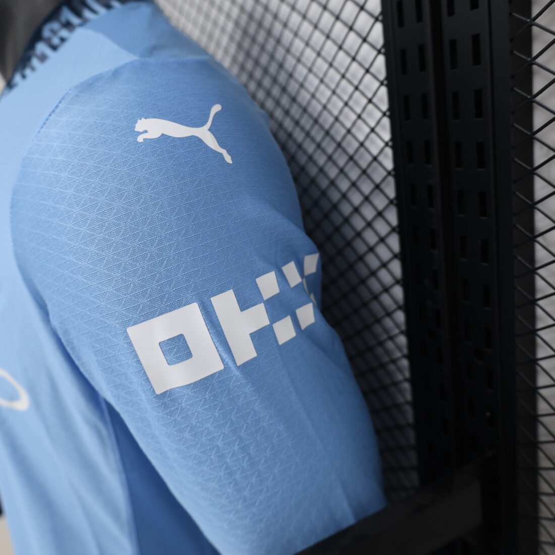 (24/25) Men Manchester City Player Long Sleeve Home Jersey S-XXL 13