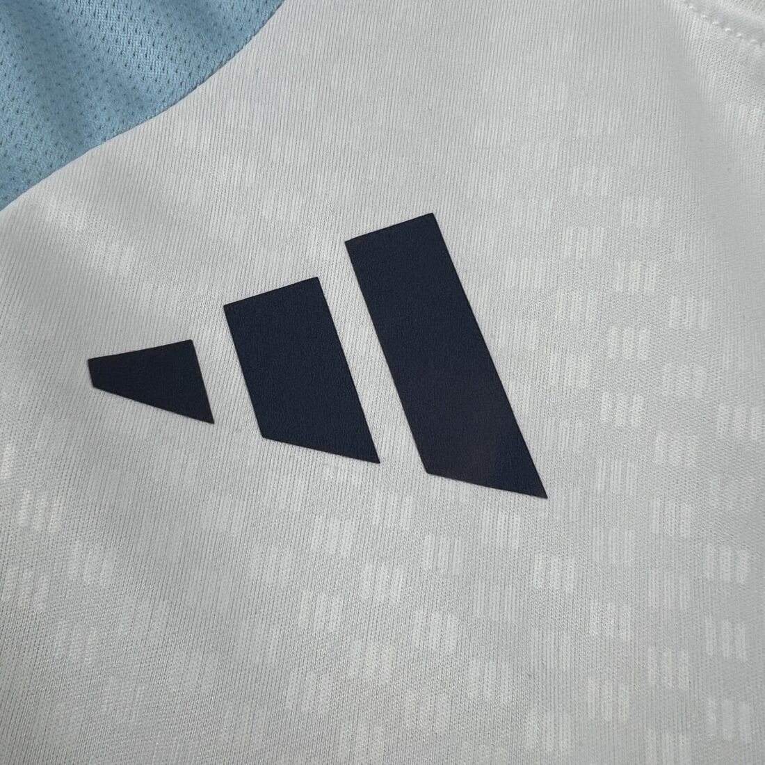 (26/27) Mens Argentina World Cup Pre-Match Camiseta S-XXL 8