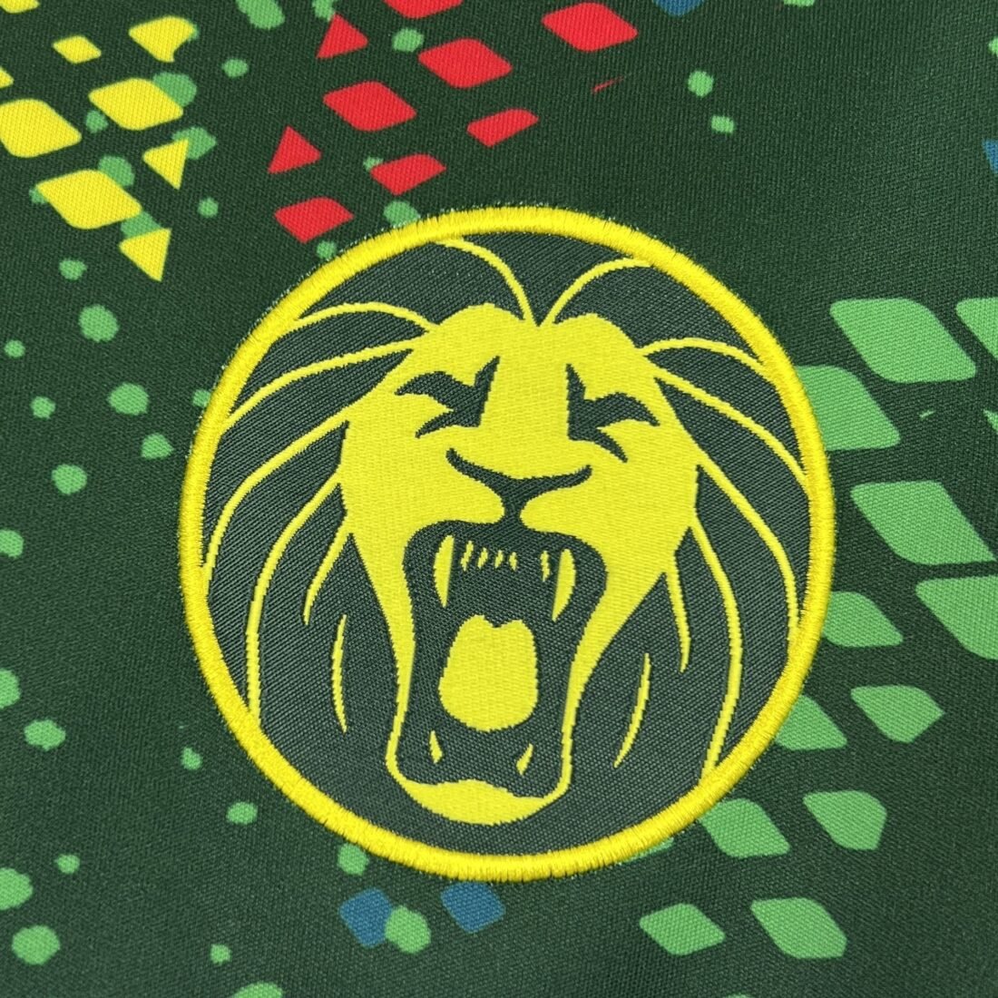 (2026) Mens Cameroon الأساسي قميص S-XXL 5