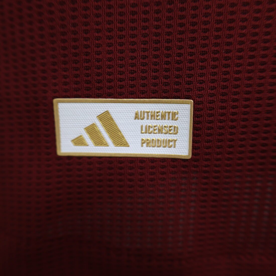 (24/25) Aston Villa Player Casa S-XXL 4