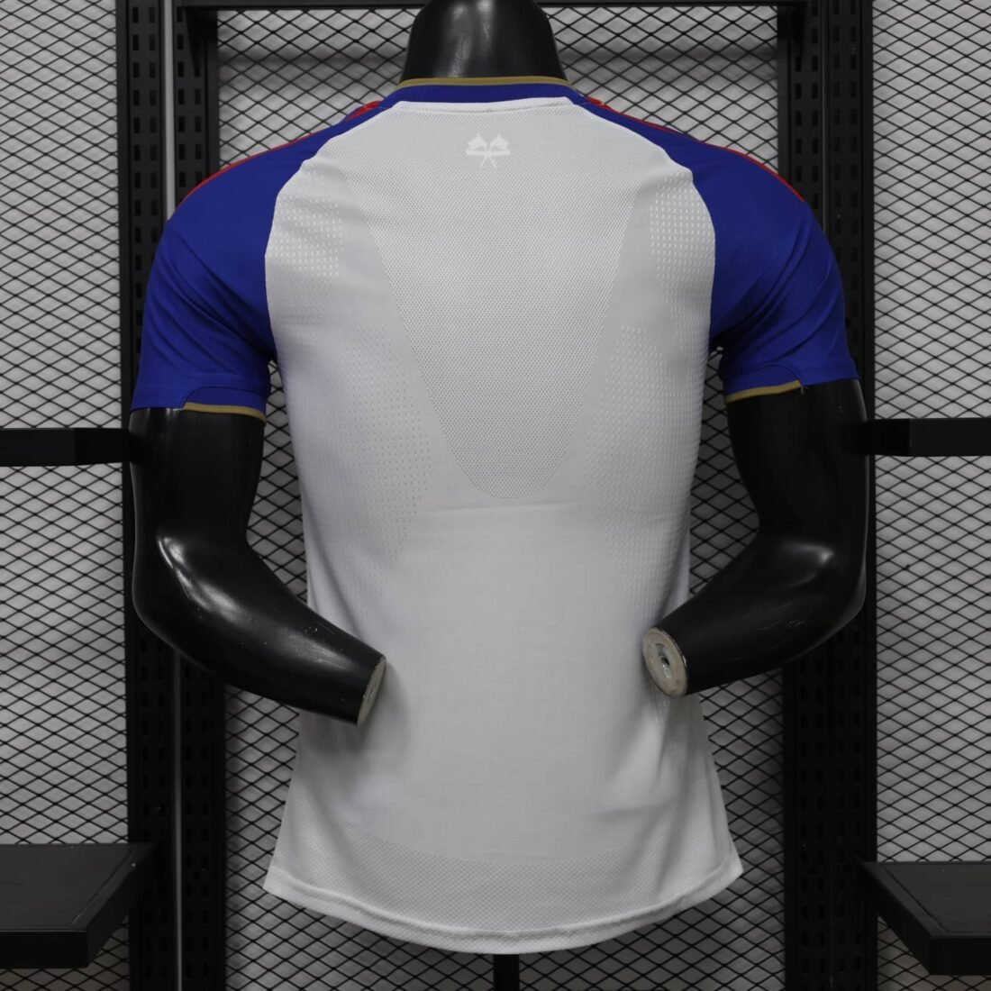 (26/27) Lyon Player الأساسي قميص S-XXL 2
