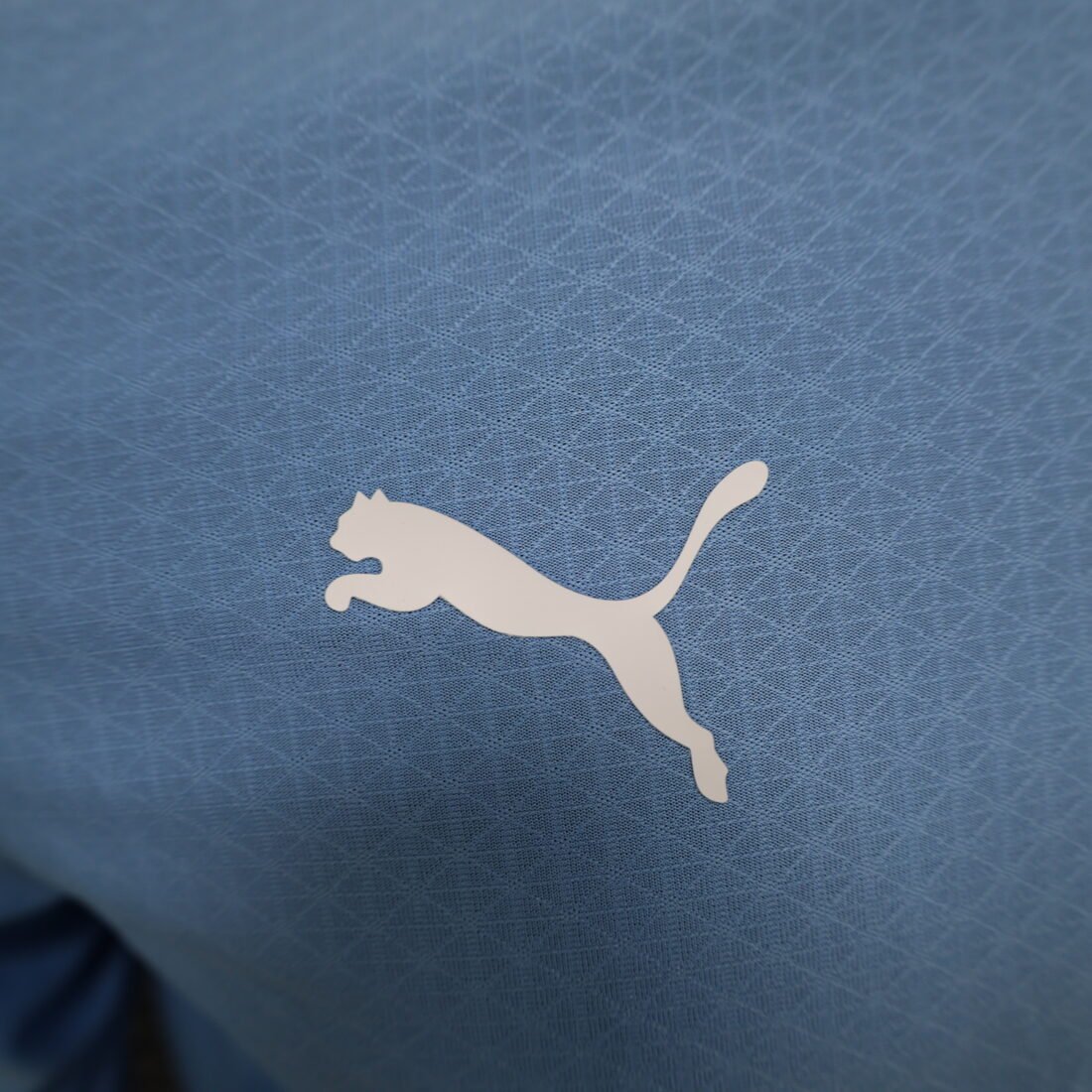 (24/25) Men Manchester City Player Long Sleeve Home Jersey S-XXL 4