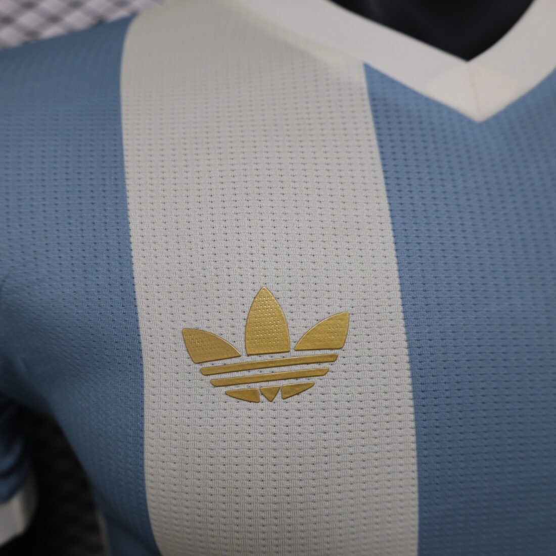 Player: Argentina Anniversary Edition | álbum | shop NO.123 | Store 13