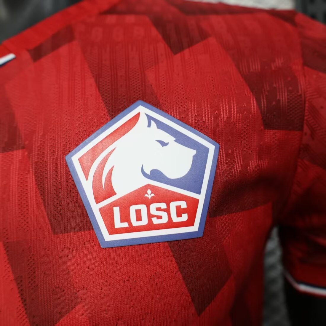 (25/26) Lille Heim 18
