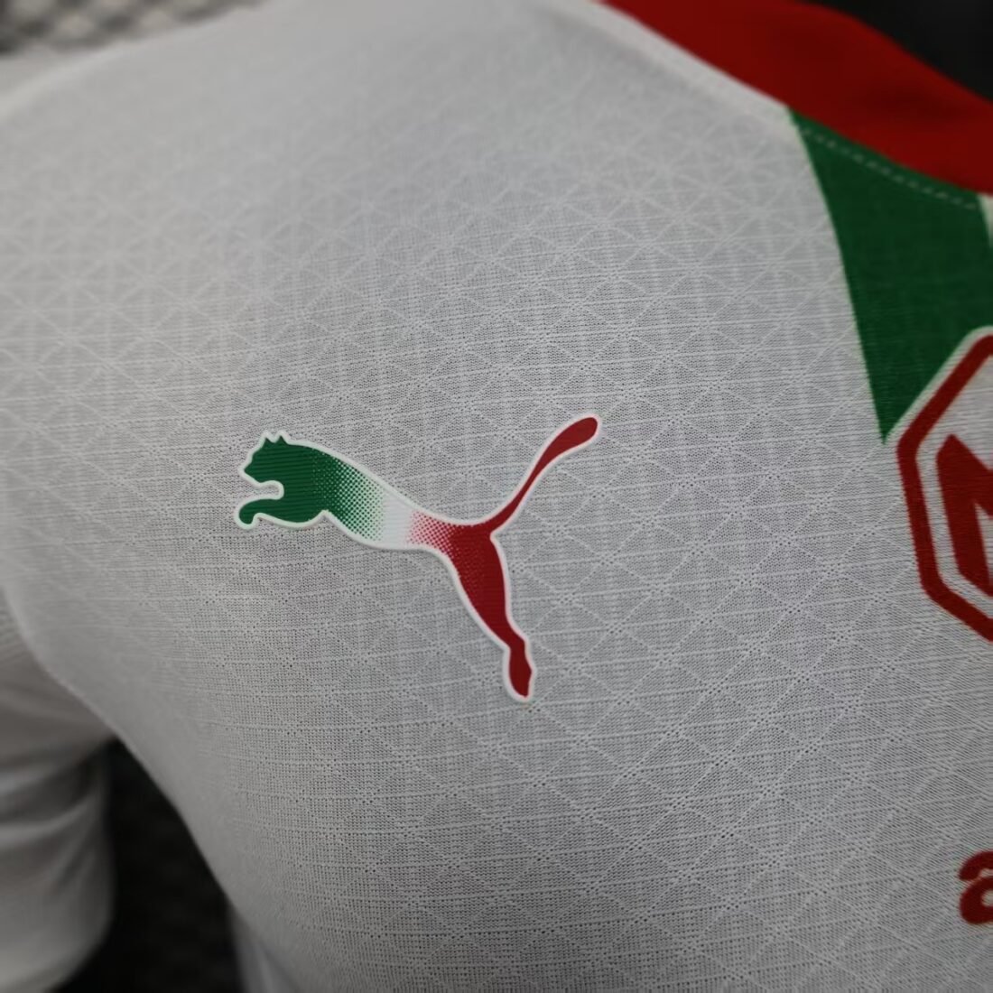 Chivas Local Versión Jugador 10