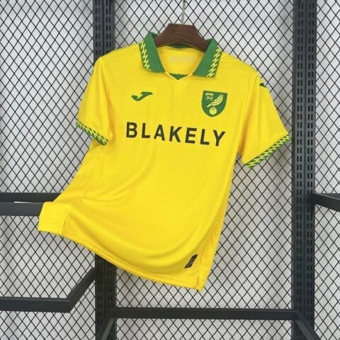 25/26 Norwich City Home Jersey Fan Version S-4XL