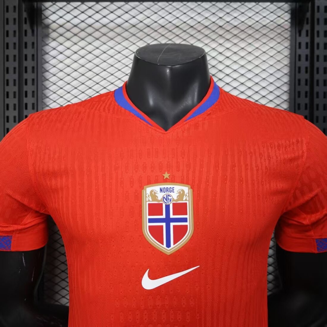 Norway Home 1