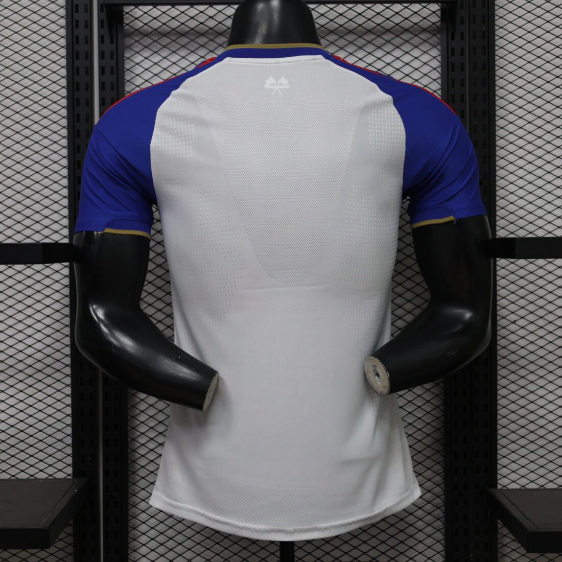 (26/27) Player Lyon Master S – 2XL álbum shop NO.123 Store 1