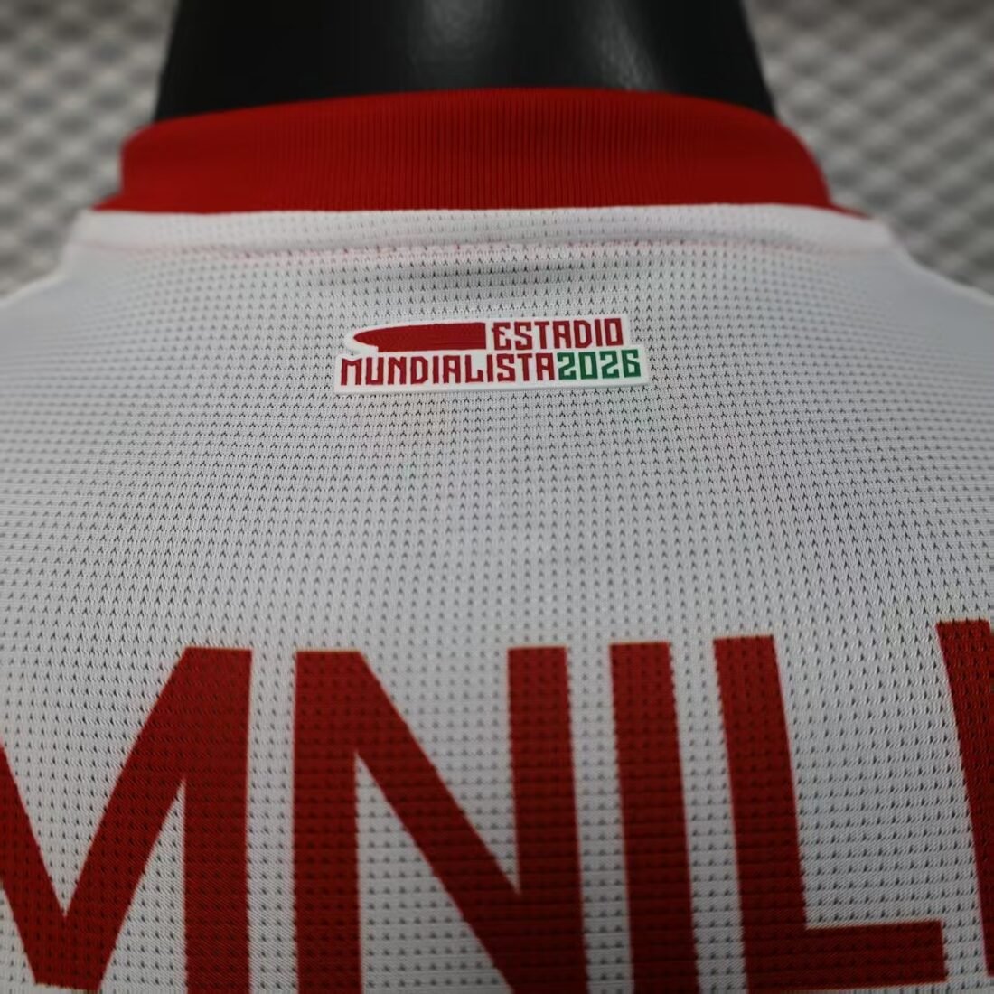 Chivas Local Versión Jugador 8