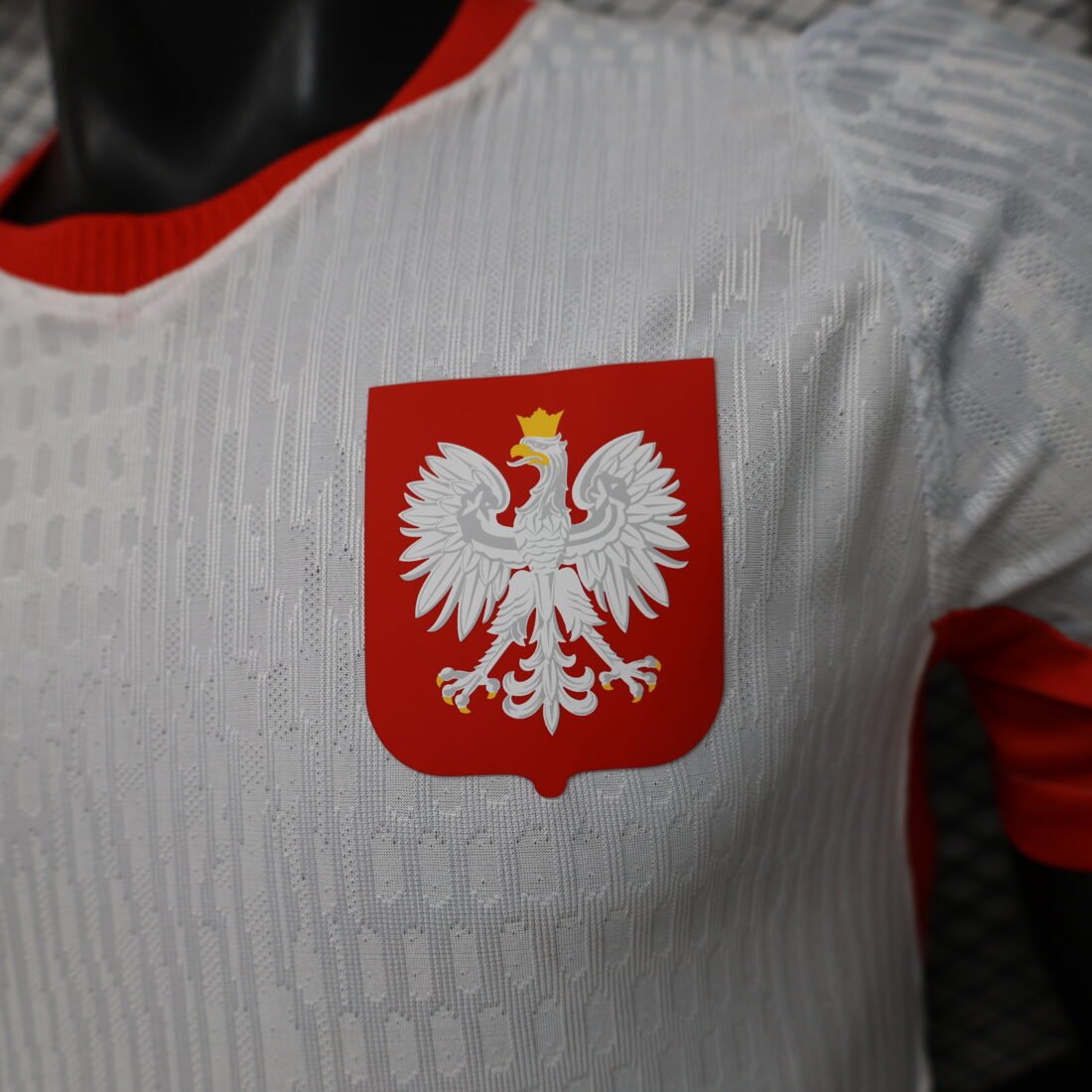 (26/27) Player Polish Master S – 2XL álbum shop NO.123 Store 14