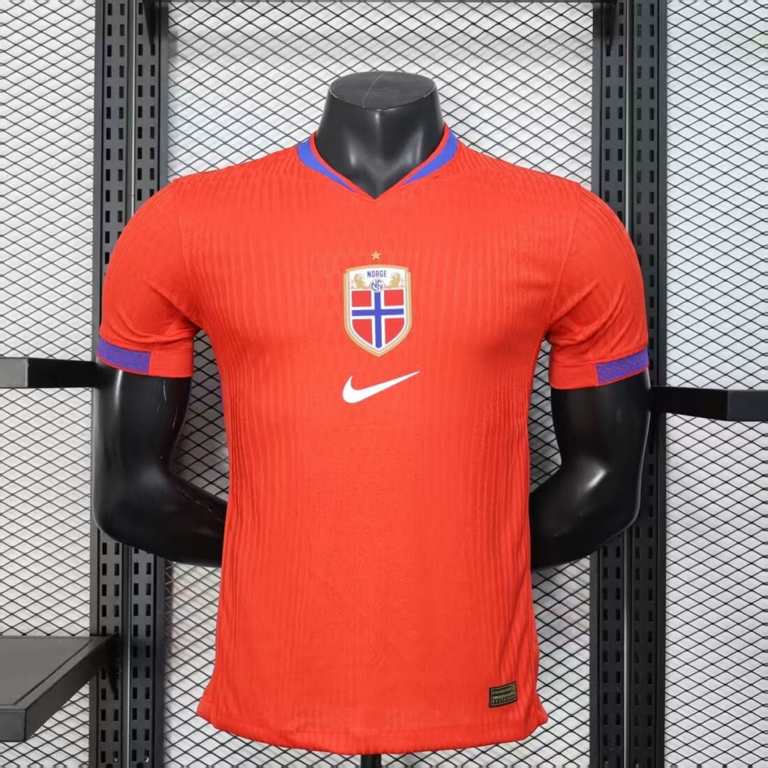 Norway Home 18