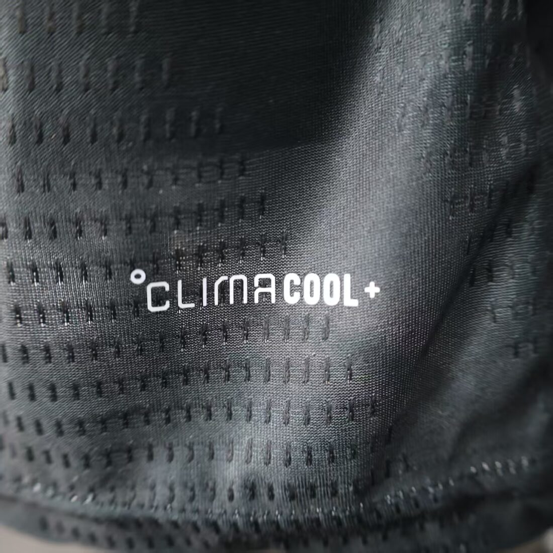 S-3XL: Algerian Black Gold | álbum | shop NO.123 | Store 6